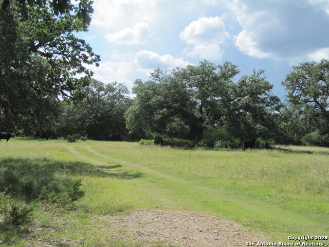 Listing photo id 36 for Address Not Provided