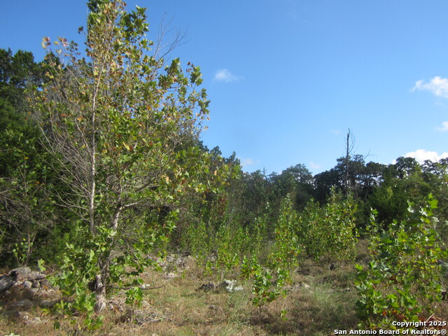 Listing photo id 38 for Address Not Provided