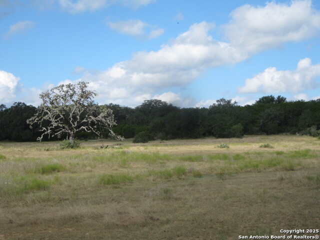 Listing photo id 51 for Address Not Provided