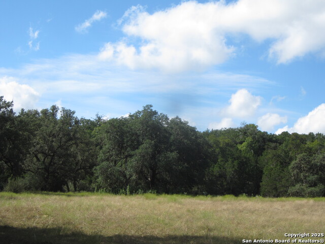 Listing photo id 52 for Address Not Provided