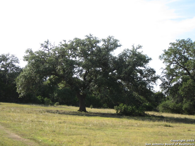 Listing photo id 59 for Address Not Provided