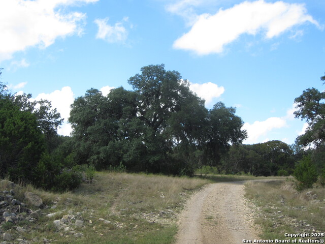 Listing photo id 72 for Address Not Provided