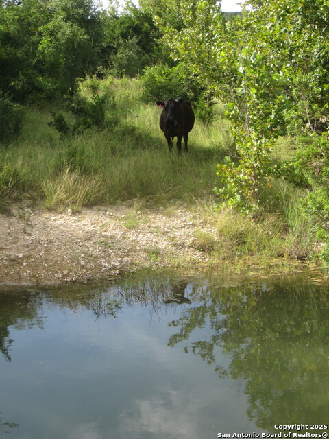 Listing photo id 73 for Address Not Provided