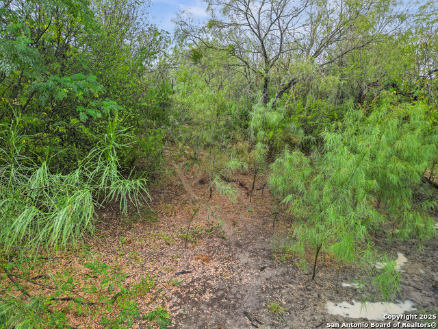 Image 15 of 17 For Tbd Jackel Rd