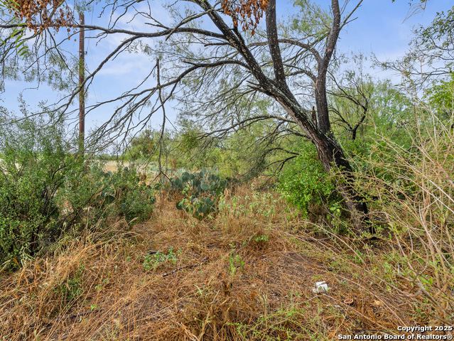 Image 16 of 17 For Tbd Jackel Rd