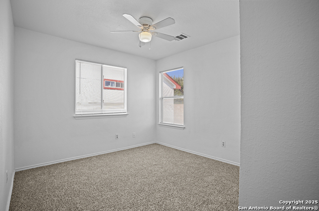 Image 24 of 34 For 3845 Mistflower