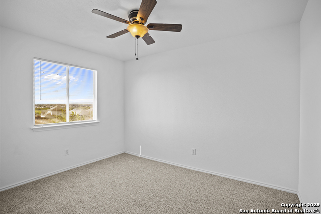 Image 25 of 34 For 3845 Mistflower