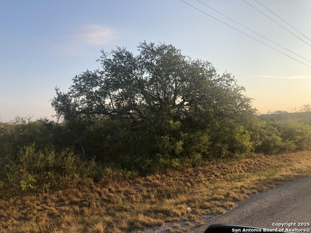 Image 2 of 6 For 00 King Lane W