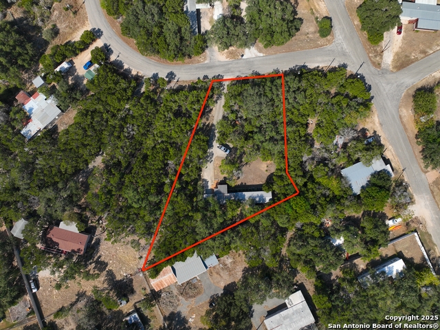 Image 21 of 28 For 1219 Songbird