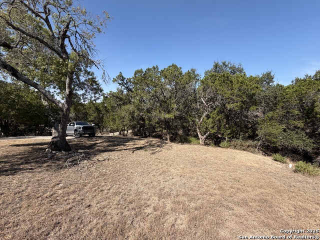 Image 23 of 28 For 1219 Songbird