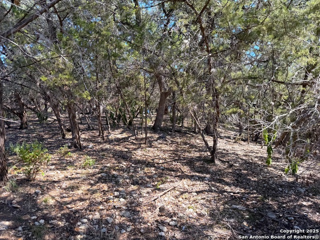 Image 25 of 28 For 1219 Songbird