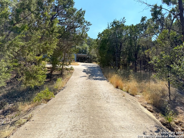 Image 26 of 28 For 1219 Songbird