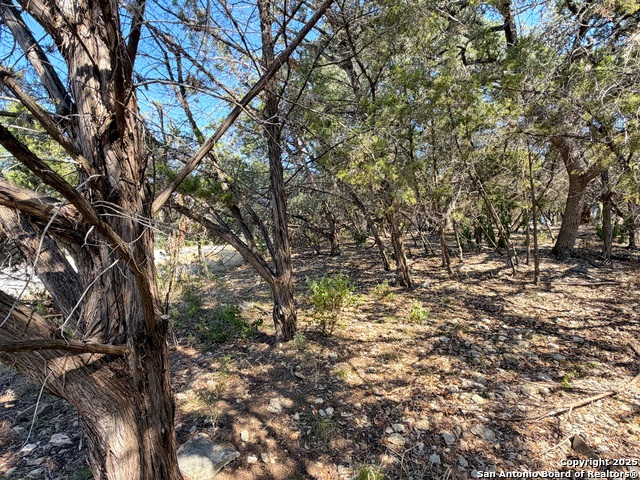 Image 27 of 28 For 1219 Songbird