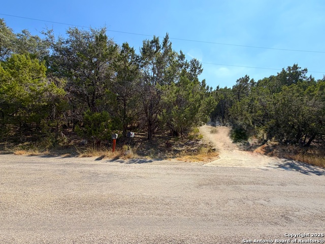 Image 28 of 28 For 1219 Songbird