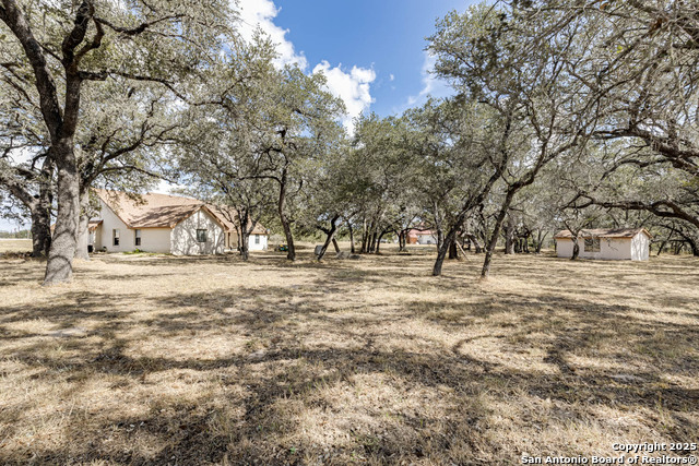 Image 28 of 31 For 206 Tipperary Lane