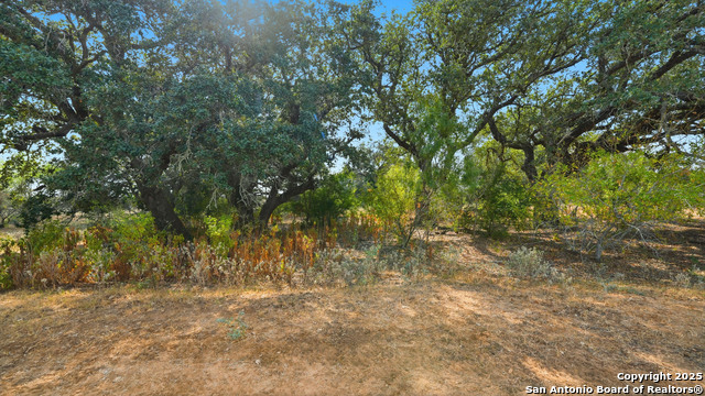 Image 31 of 43 For 2141 Cr 132