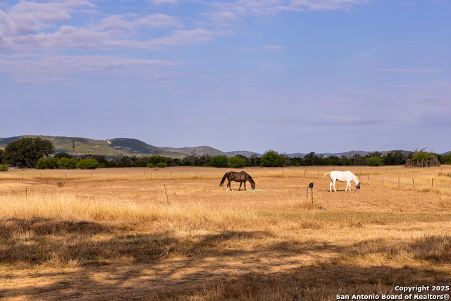 Image 35 of 49 For 1158 Orchard Park