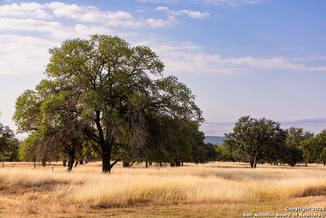 Image 36 of 49 For 1158 Orchard Park