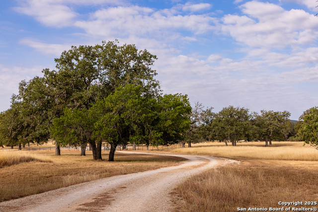 Image 41 of 49 For 1158 Orchard Park