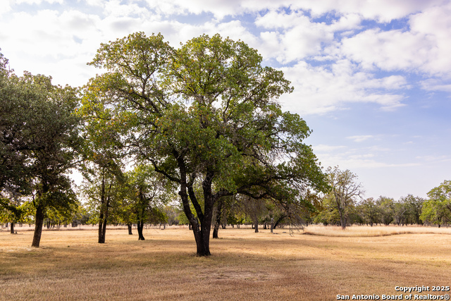 Image 48 of 49 For 1158 Orchard Park