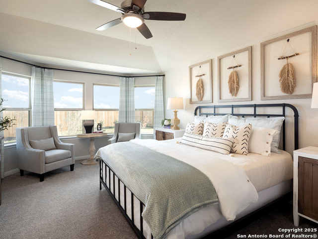 Image 4 of 33 For 14504 Galloping Colt