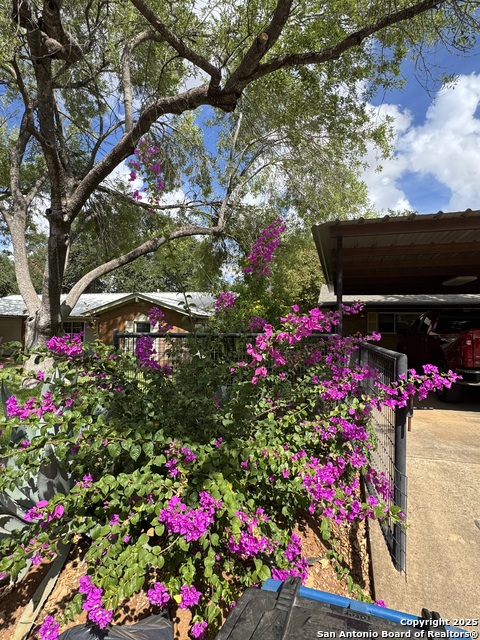 Image 6 of 32 For 363 William  