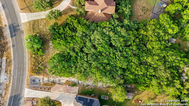 Image 10 of 17 For 25403 Singing Rain