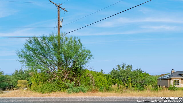 Image 11 of 17 For 25403 Singing Rain