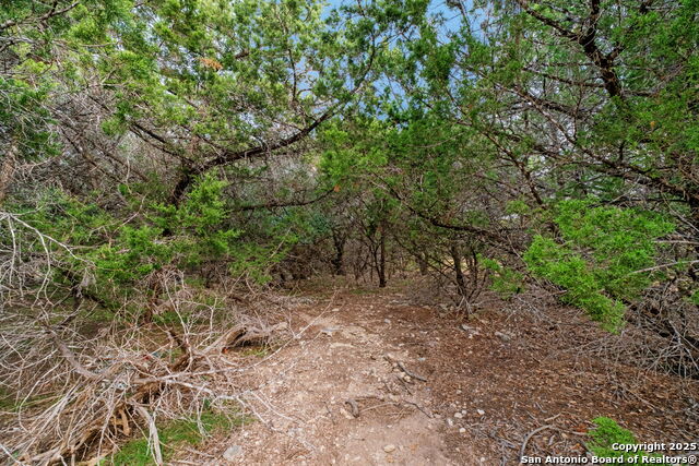 Image 14 of 17 For 25403 Singing Rain