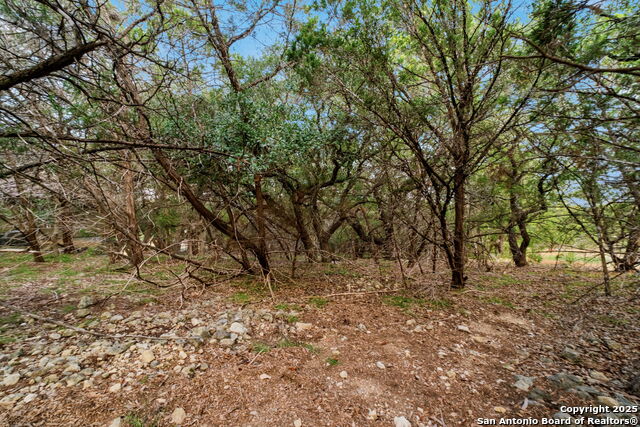 Image 15 of 17 For 25403 Singing Rain
