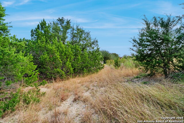 Image 16 of 17 For 25403 Singing Rain