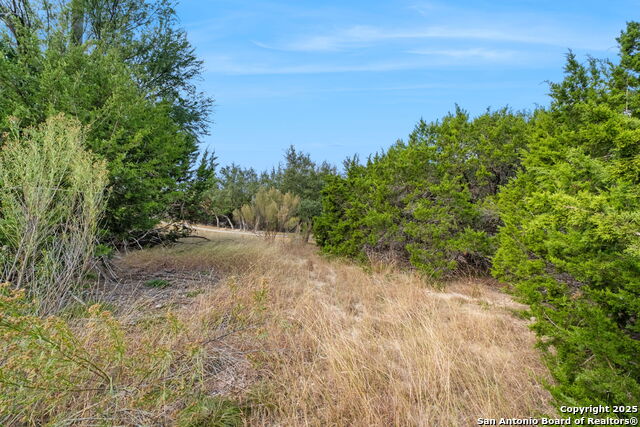 Image 17 of 17 For 25403 Singing Rain