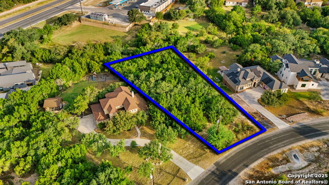 Image 2 of 17 For 25403 Singing Rain