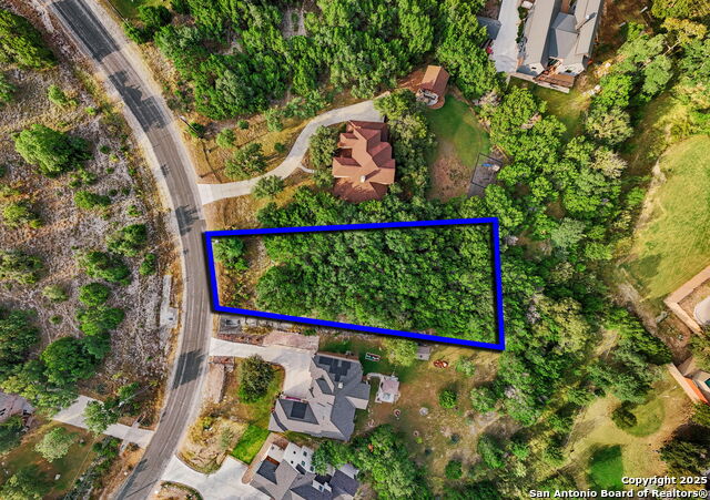 Image 3 of 17 For 25403 Singing Rain