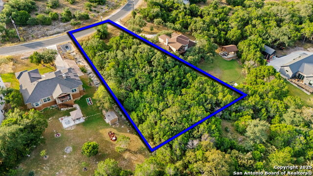 Image 4 of 17 For 25403 Singing Rain