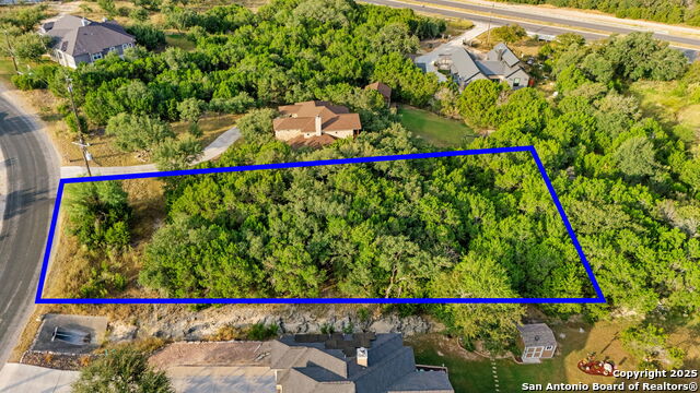 Image 5 of 17 For 25403 Singing Rain