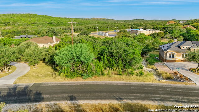 Image 8 of 17 For 25403 Singing Rain