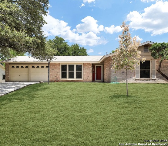 Image 10 of 10 For 6719 Spring Rose