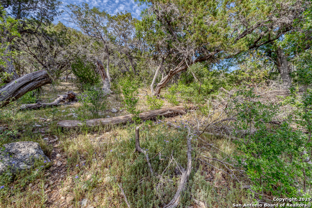 Image 2 of 11 For Tbd Us Highway 83 N