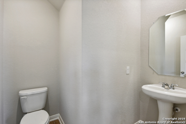 Image 13 of 38 For 14426 Galloping Colt