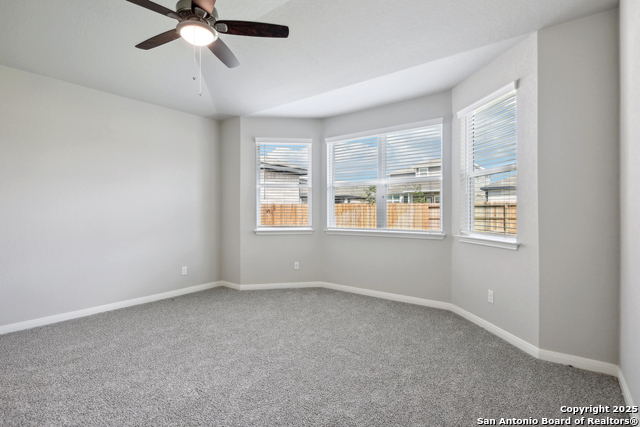 Image 14 of 38 For 14426 Galloping Colt