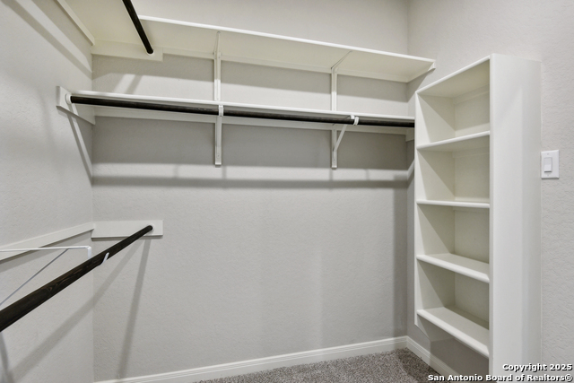 Image 18 of 38 For 14426 Galloping Colt