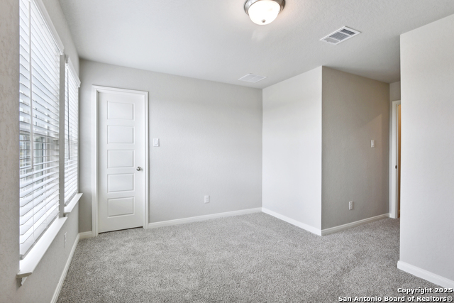 Image 24 of 38 For 14426 Galloping Colt