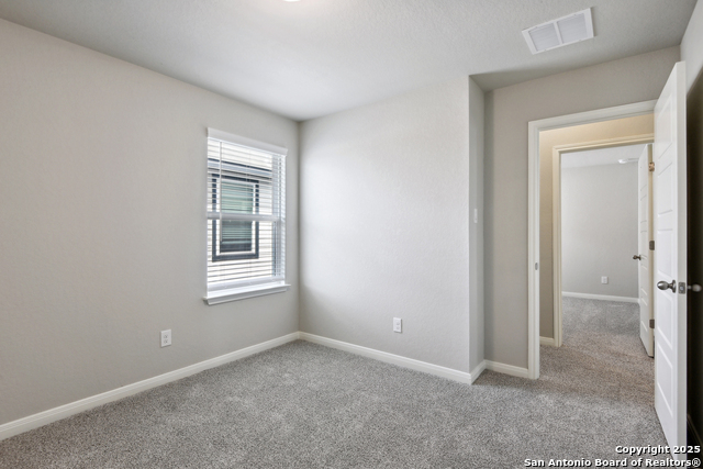 Image 31 of 38 For 14426 Galloping Colt