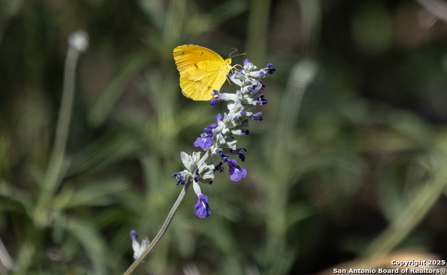 Image 16 of 18 For Tbd2 Us Highway 83 N
