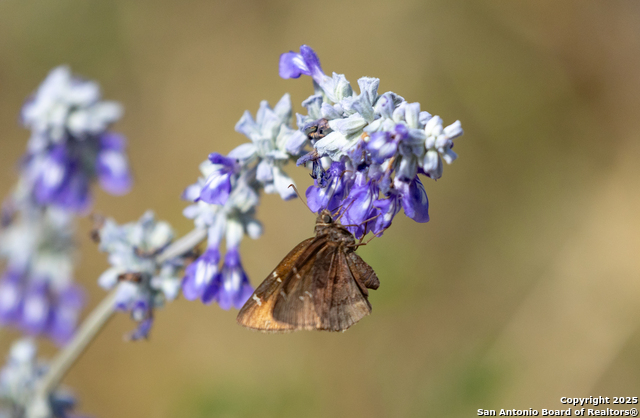 Image 17 of 18 For Tbd2 Us Highway 83 N