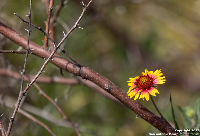 Image 18 of 18 For Tbd2 Us Highway 83 N