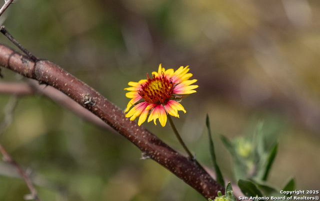 Image 12 of 19 For Tbd3 Us Highway 83 N