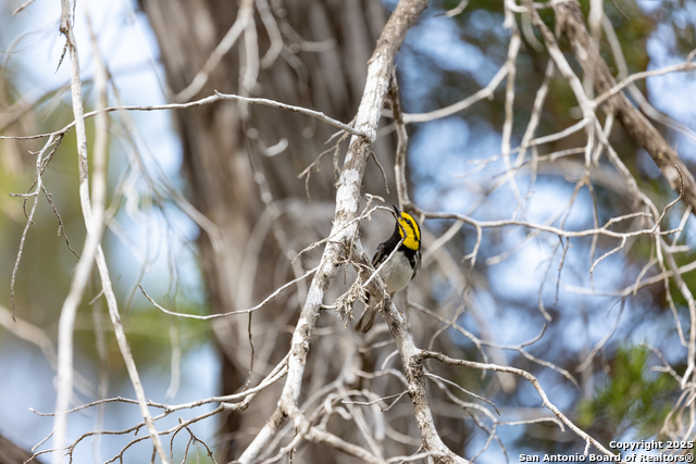 Image 13 of 19 For Tbd3 Us Highway 83 N