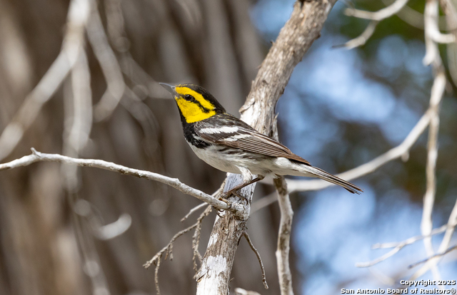 Image 14 of 19 For Tbd3 Us Highway 83 N